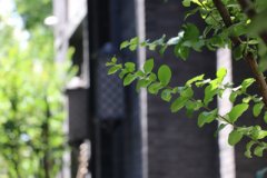 聯(lián)系我們